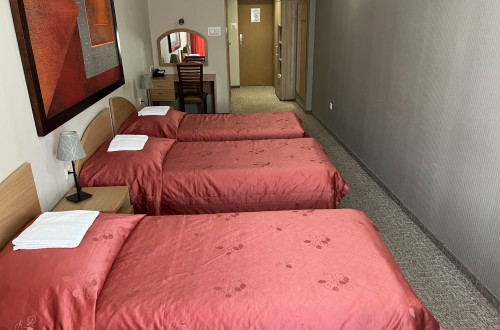 Pokoje Hotel Dunajec - Pokój 3-os.